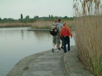 gardony_ 005a.jpg